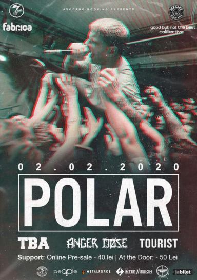 poze polar club fabrica