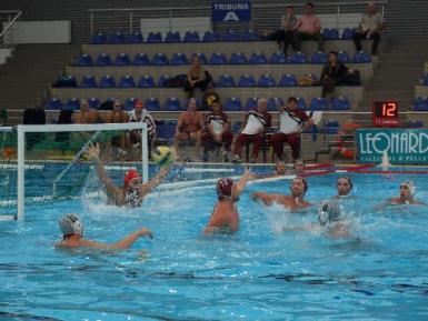 poze polo csm frigo conty oradea sportul studentesc