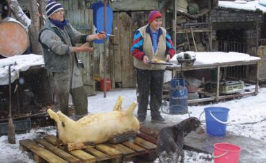 poze pomana porcului pe ulitele din muzeul satului