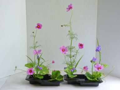 poze atelier teoretic i practic ikebana arta aranjamentelor floral