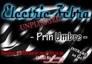 poze prin umbre electric zebra unplugged in big mamou