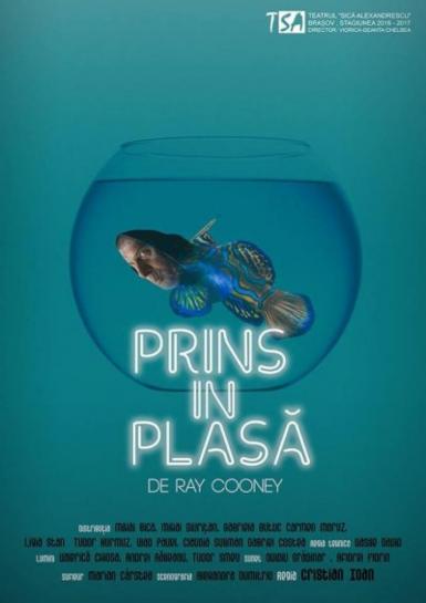 poze prins in plasa