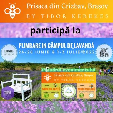 poze prisaca din crizbav bra ov la campul de lavanda din crizbav