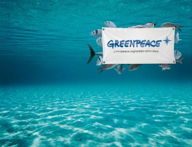 poze proiectie de documentare greenpeace