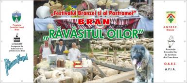 poze ravasitul oilor bran 2013