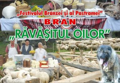 poze ravasitul oilor bran 2015