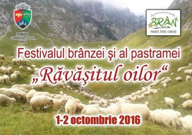 poze ravasitul oilor bran 2016