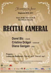 poze recital cameral 