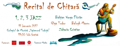 poze recital de chitara