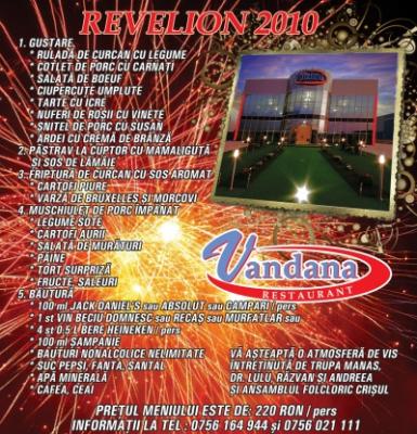 poze revelion 2010 la vandana