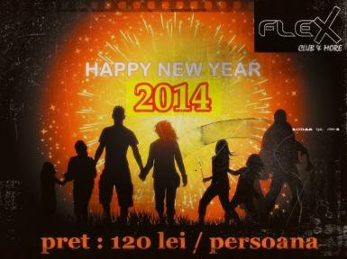 poze revelion 2014 in club flex arad