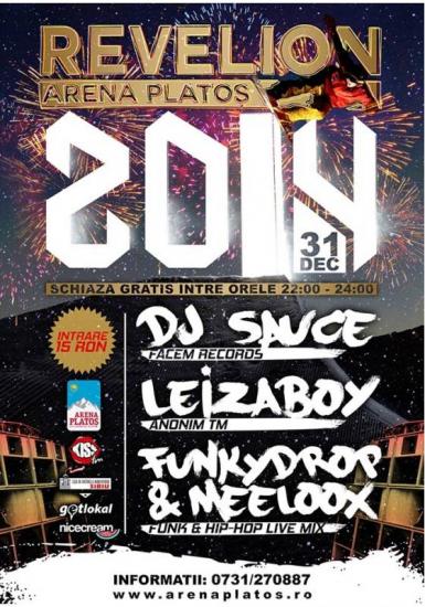 poze revelion 2014 la arena plaos din sibiu