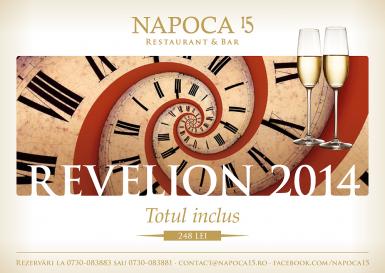 poze revelion 2014 la napoca 15