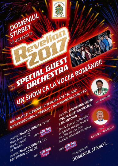 poze revelion 2017 la domeniul stirbey