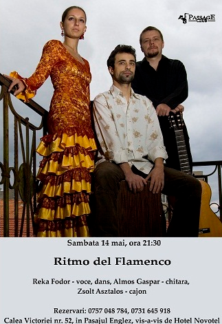 poze ritmo del flamenco la passage club