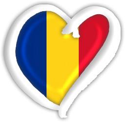 poze romanian language courses for foreigners 