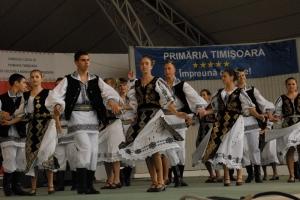 poze ruga timisoarei