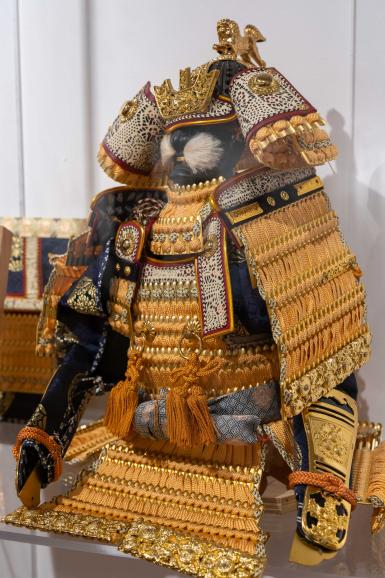 poze  samurai legendele japoniei 