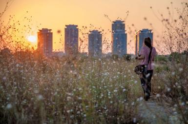 poze scoala de vara fotografie urbana pentru incepatori