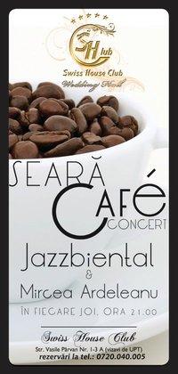 poze  seara de jazzbiental in swiss 