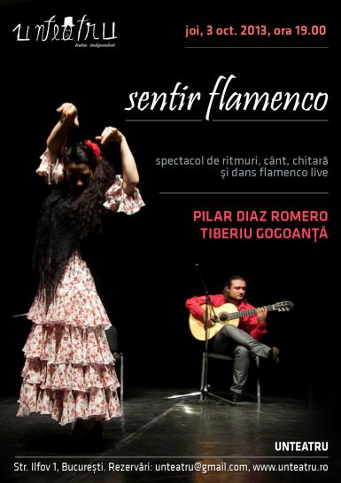 poze sentir flamenco