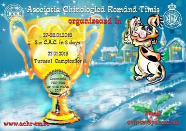poze show canin timisoara winter shows