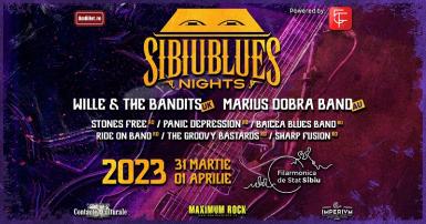 poze sibiu blues nights 2023