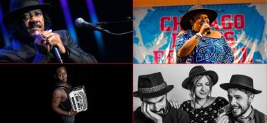 poze sighi oara blues festival 2016