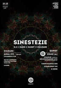 poze sinestezie club colectiv bucuresti