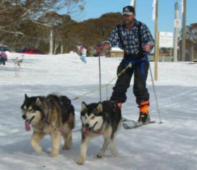 poze snow dogs 2010 
