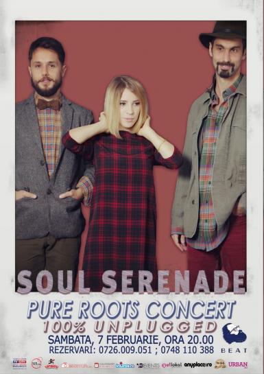 poze soul serenade pure acoustic roots concert
