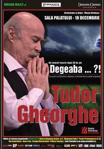 poze concert tudor gheorghe la brasov degeaba 