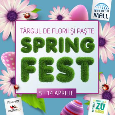 poze spring fest targul de florii si paste 2017