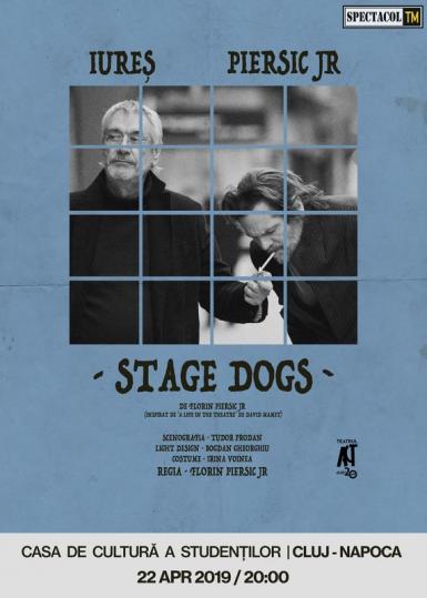 poze stage dogs marcel iure florin piersic jr 