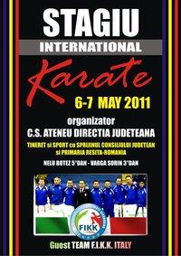 poze stagiu international de karate