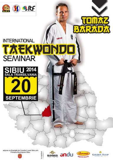 poze stagiul interna ional de taekwon do sibiu 2014