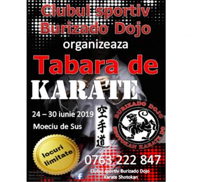 poze tabara de karate pentru copii