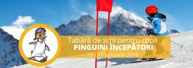 poze tabara de ski i snowboard pentru copii pinguini incepatori