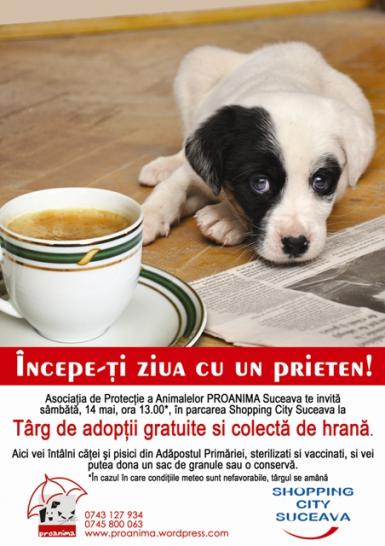 poze targ de adoptii gratuite de animale la shopping city suceava