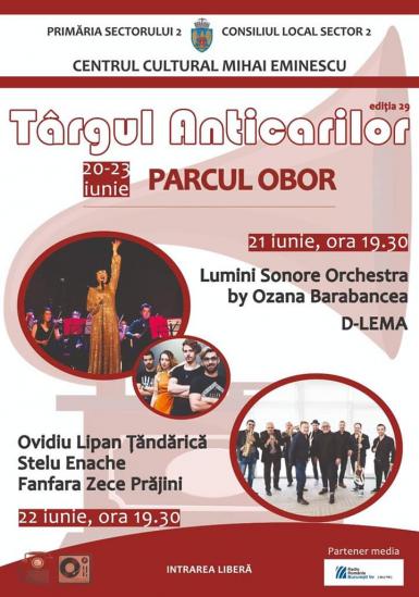 poze targul anticarilor