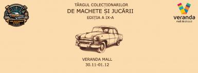 poze targul colectionarilor de machete si jucarii