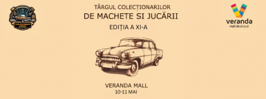 poze targul colectionarilor de machete si jucarii