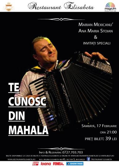 poze te cunosc din mahala concert muzica lautareasca