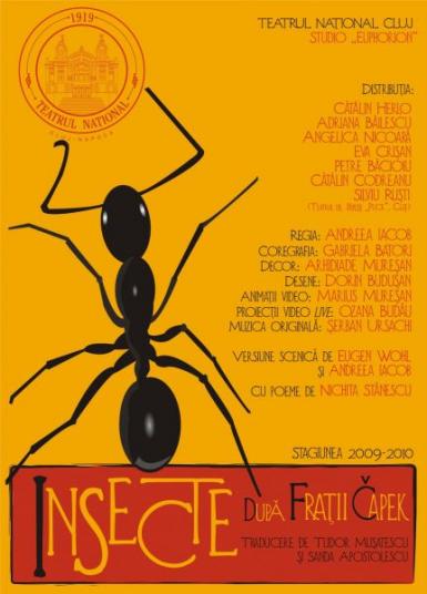 poze teatru insecte cluj