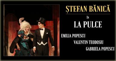 poze teatru la pulce