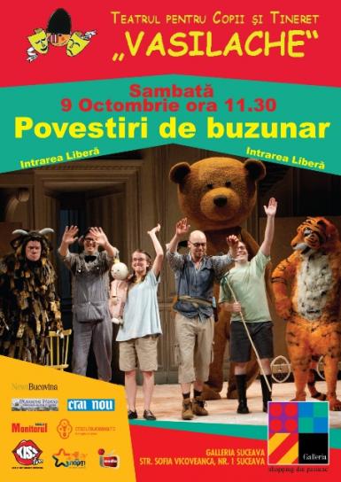 poze teatru povestiri de buzunar 