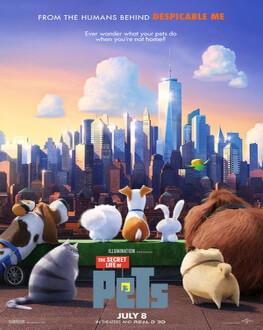 poze the secret life of pets