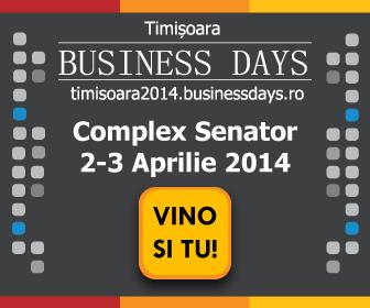 poze timisoara business days 2014