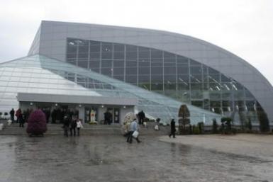 poze tinimtex 2013