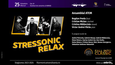 poze toamna muzicala clujeana stressonic relax